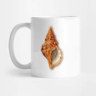 Conch Mug